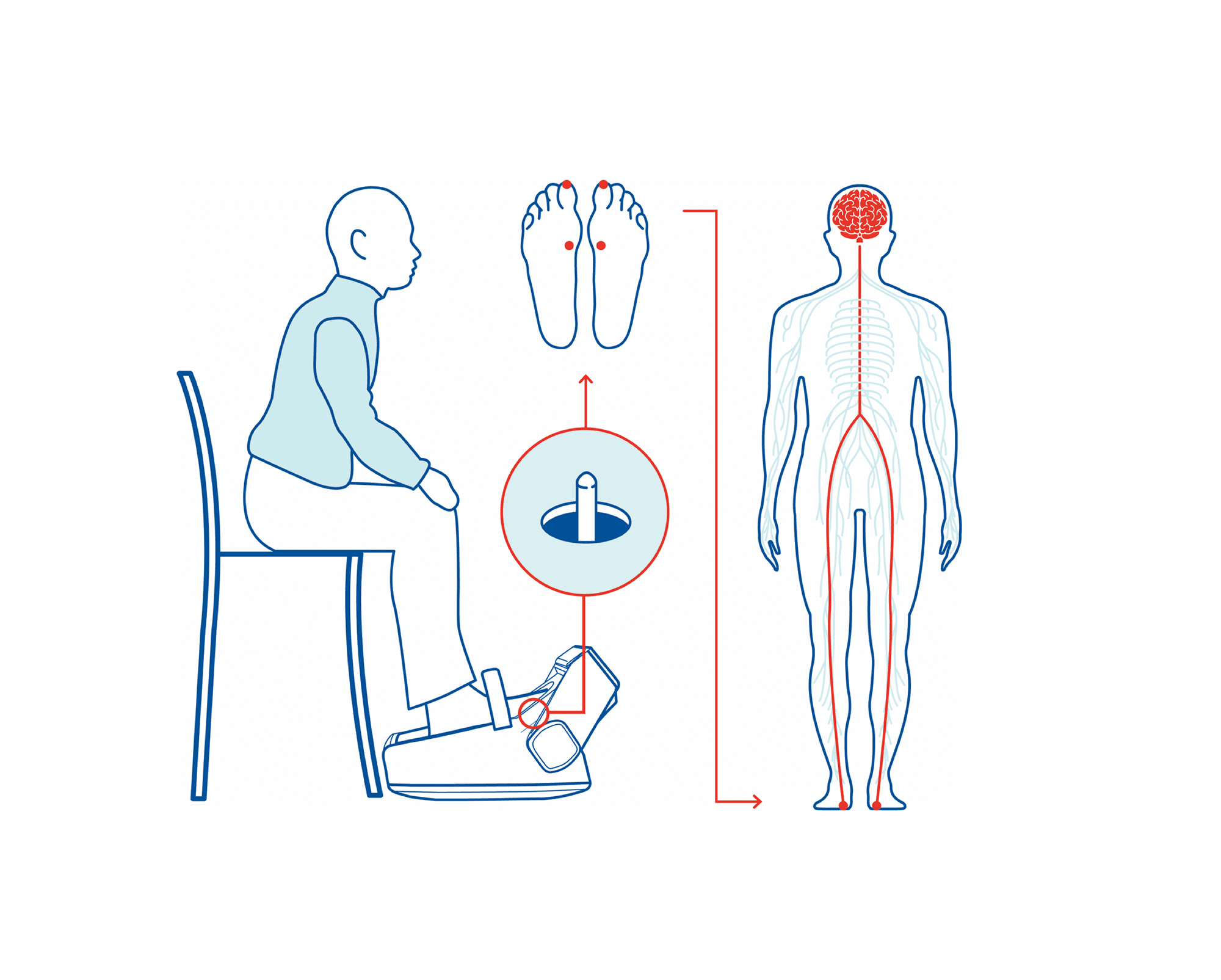 Mechanism of Action_Gallery